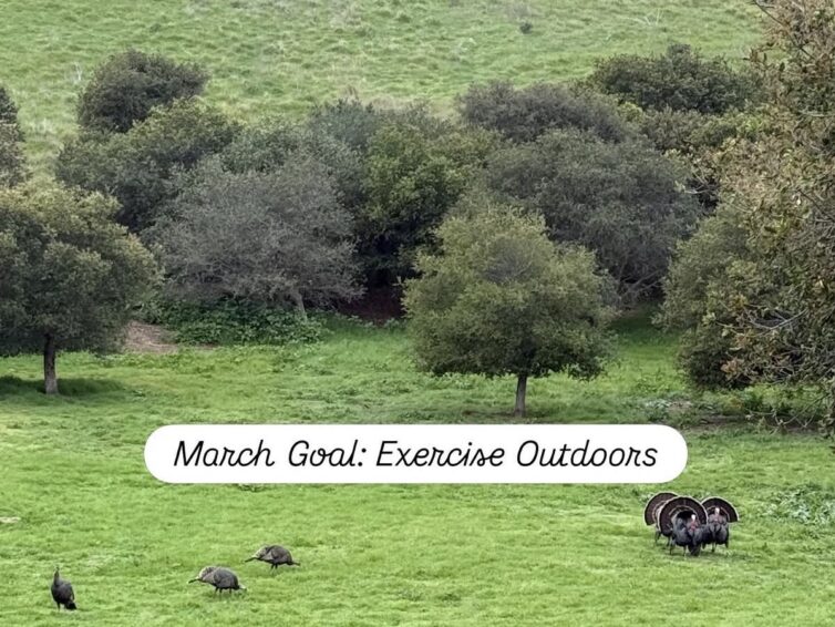 March Exercise Goal